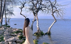 太子用身体去慰问灾难的子民